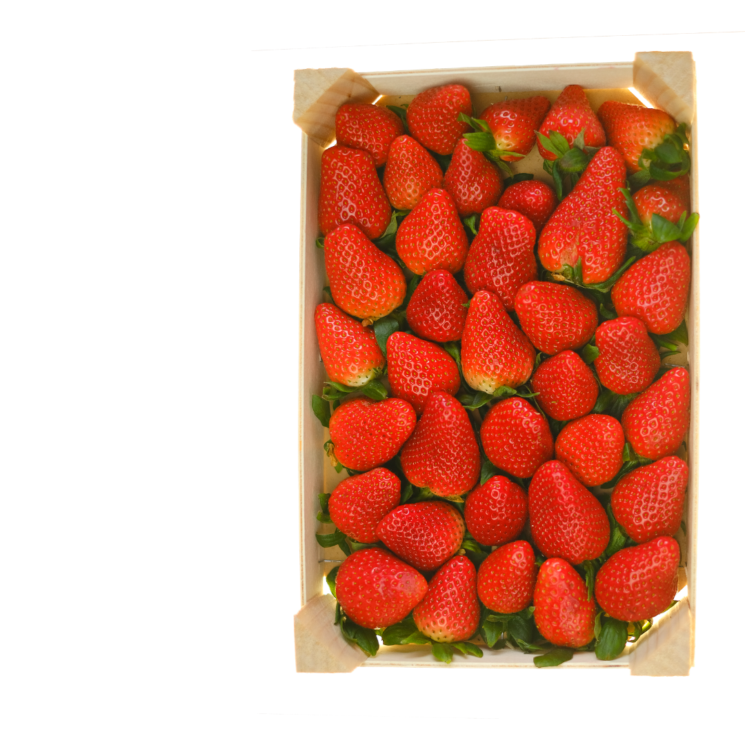 Frutilla Fresca, pack 6,5 kilos