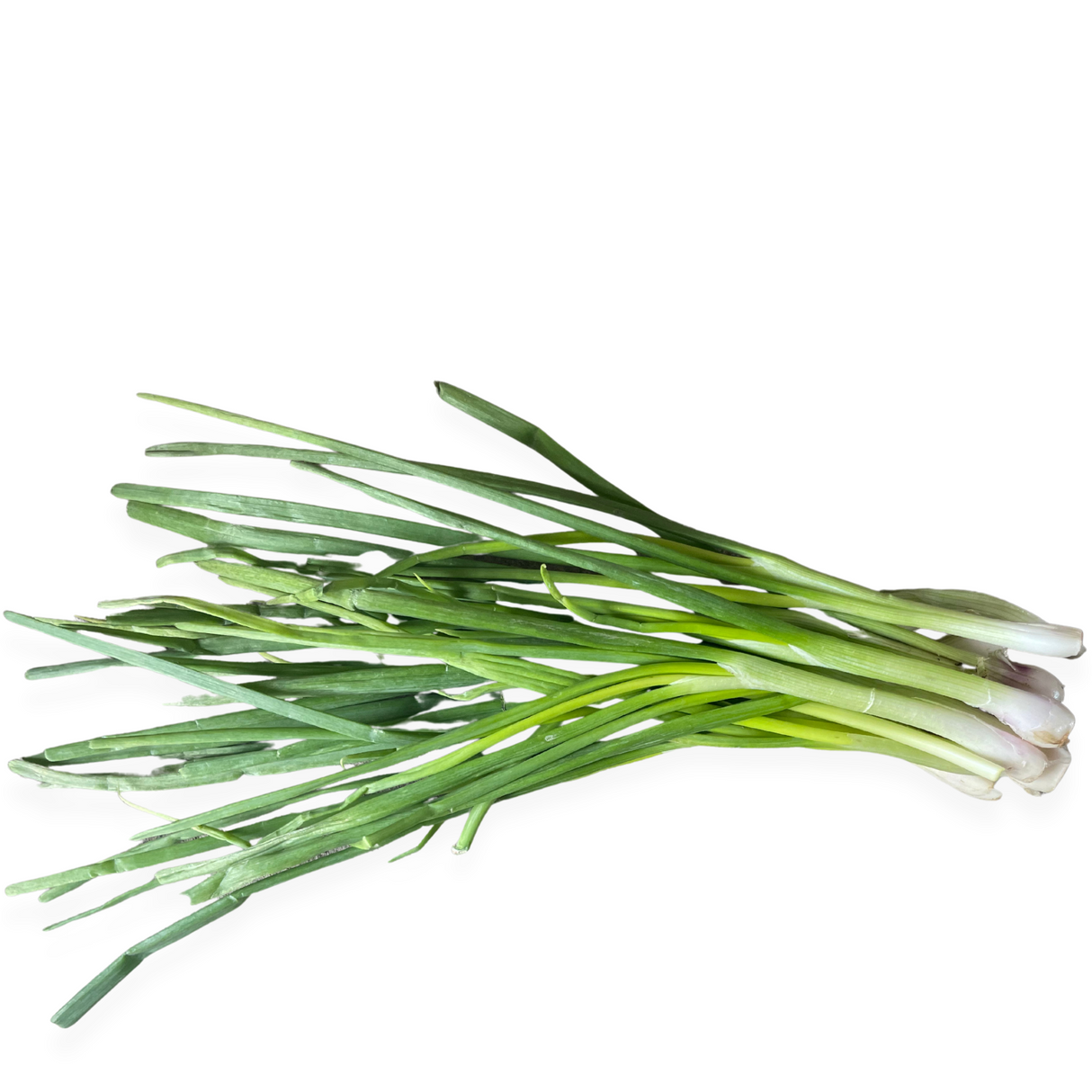 Cebollín, 3 unidades