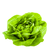 Lechuga Española, unidad