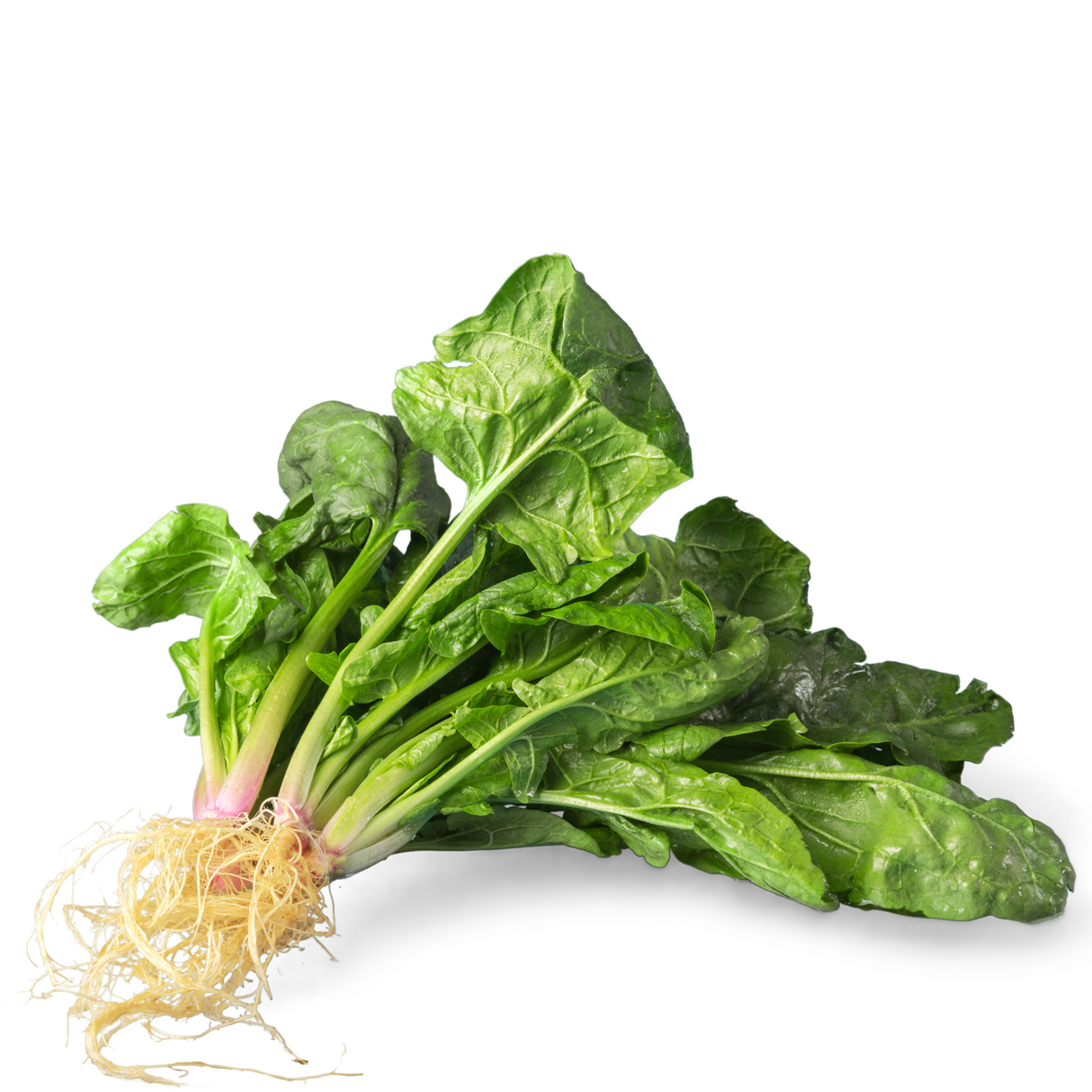 Espinaca, 500 gramos